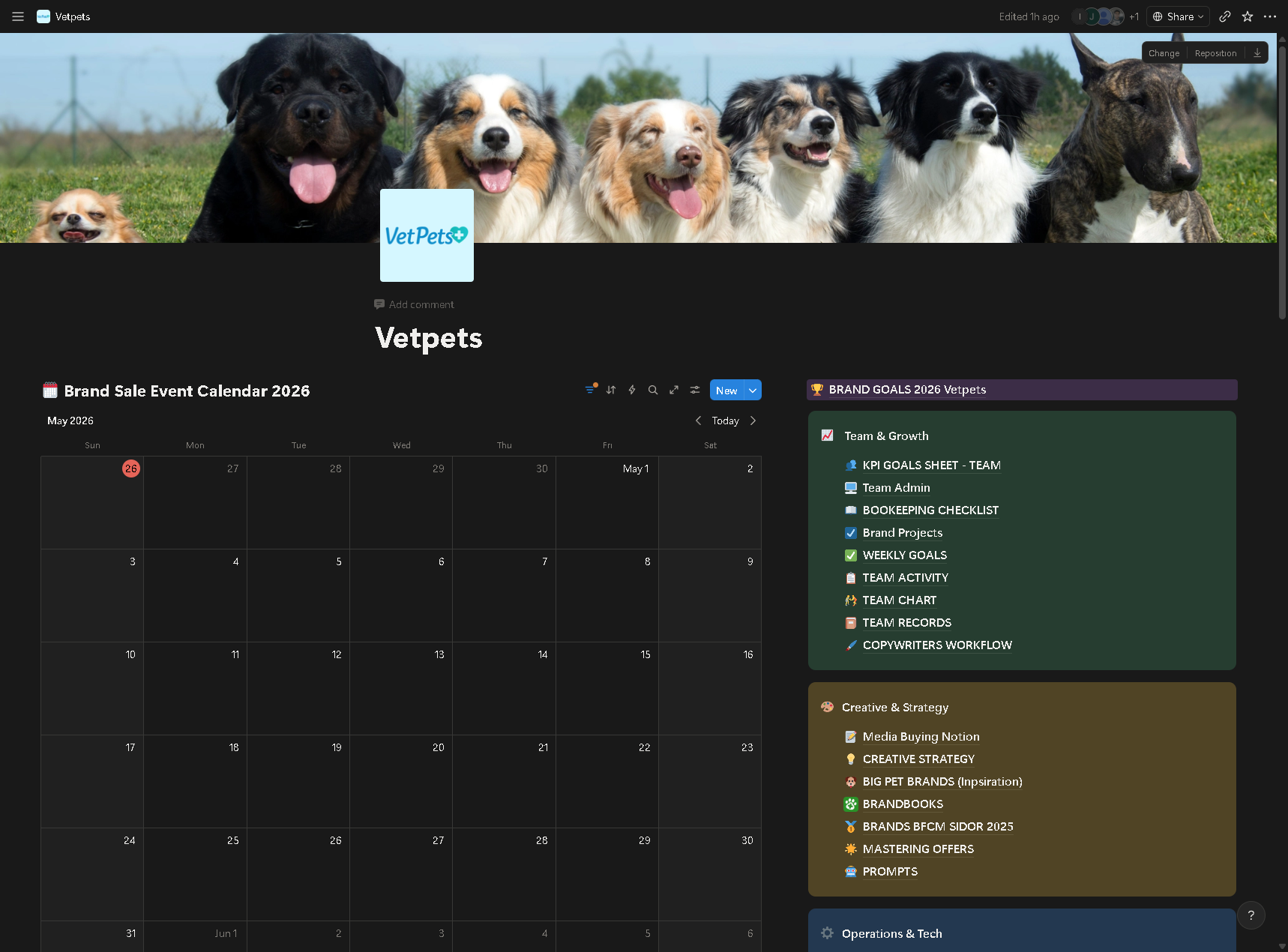Notion operations dashboard screenshot